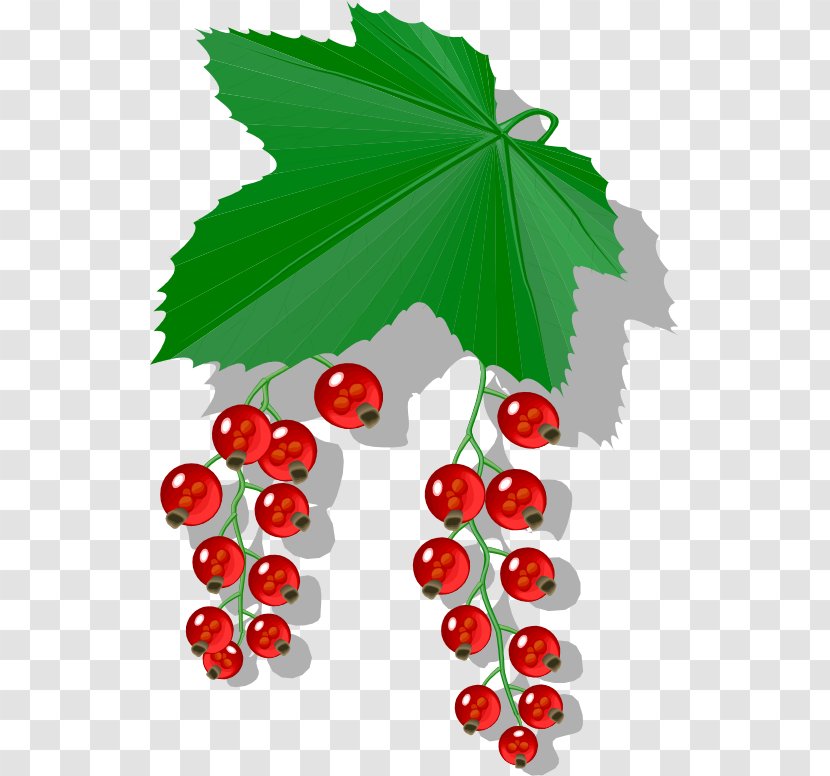 Berry Redcurrant Food Blackcurrant Clip Art - Berries Transparent PNG