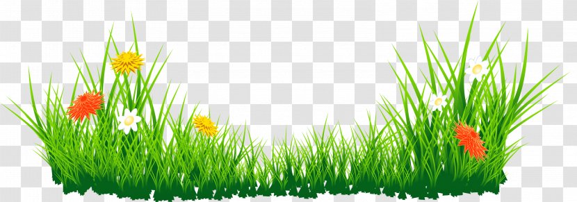 Clip Art - Wheatgrass - Flowers With Grass Picture Transparent PNG