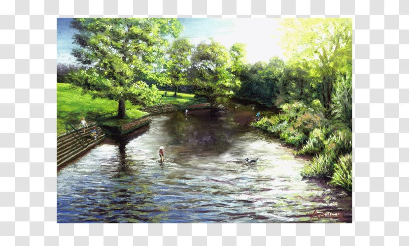 Earlham Park Fluvial Landforms Of Streams Landscape Bank - Pastel Transparent PNG