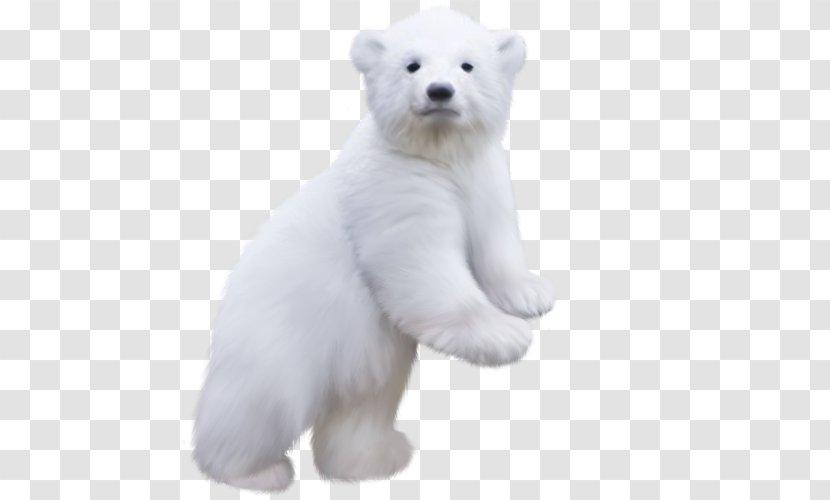 Polar Bear Clip Art - Silhouette Transparent PNG
