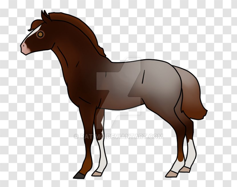 Foal Mane Stallion Bridle Mare - Sorrel - Mustang Transparent PNG