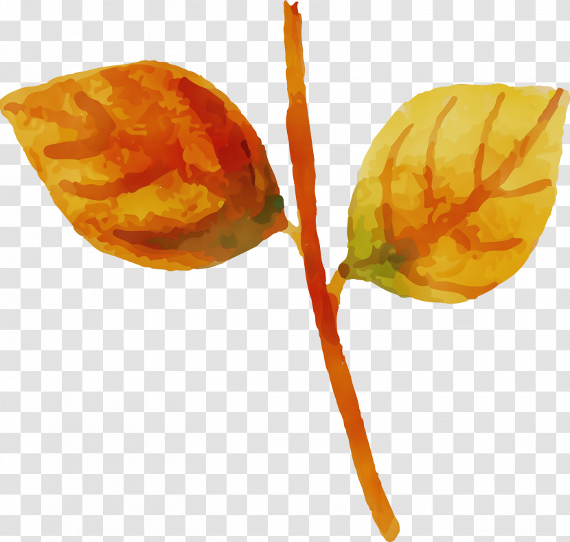 Fruit Transparent PNG