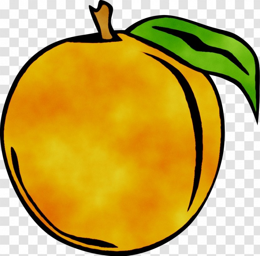 Clip Art Peach Free Content - Apple - Fruit Transparent PNG