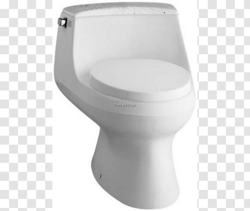 Toilet & Bidet Seats Kohler Co. - Flush Transparent PNG