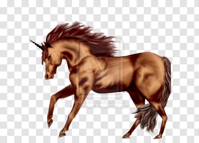 Stallion Mustang Animation Wild Horse Pony - Livestock - Unicorn Horn Transparent PNG