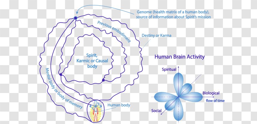 Subpersonal Chakras Higher Self Consciousness Reiki - Heart Transparent PNG