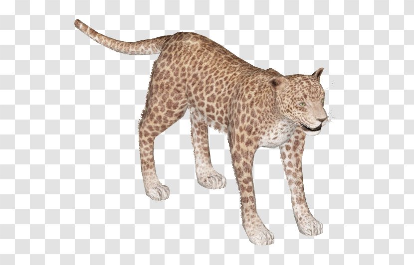 Felidae African Leopard Cheetah Lion Indian - Snow Transparent PNG
