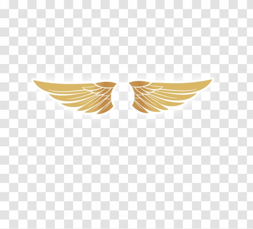 Wing Clip Art - Google Images - Golden Wings Transparent PNG