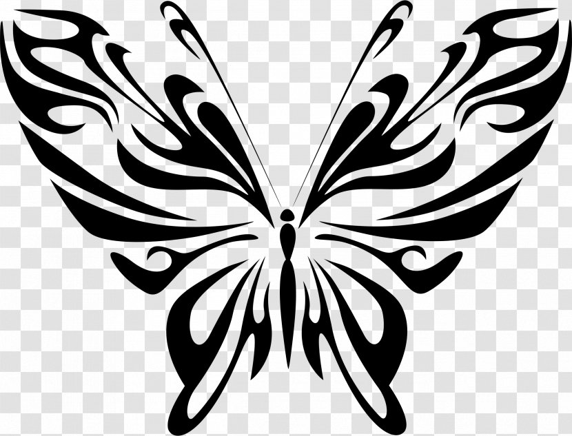 Butterfly Line Art Drawing Clip - Arthropod - Butterflay Transparent PNG