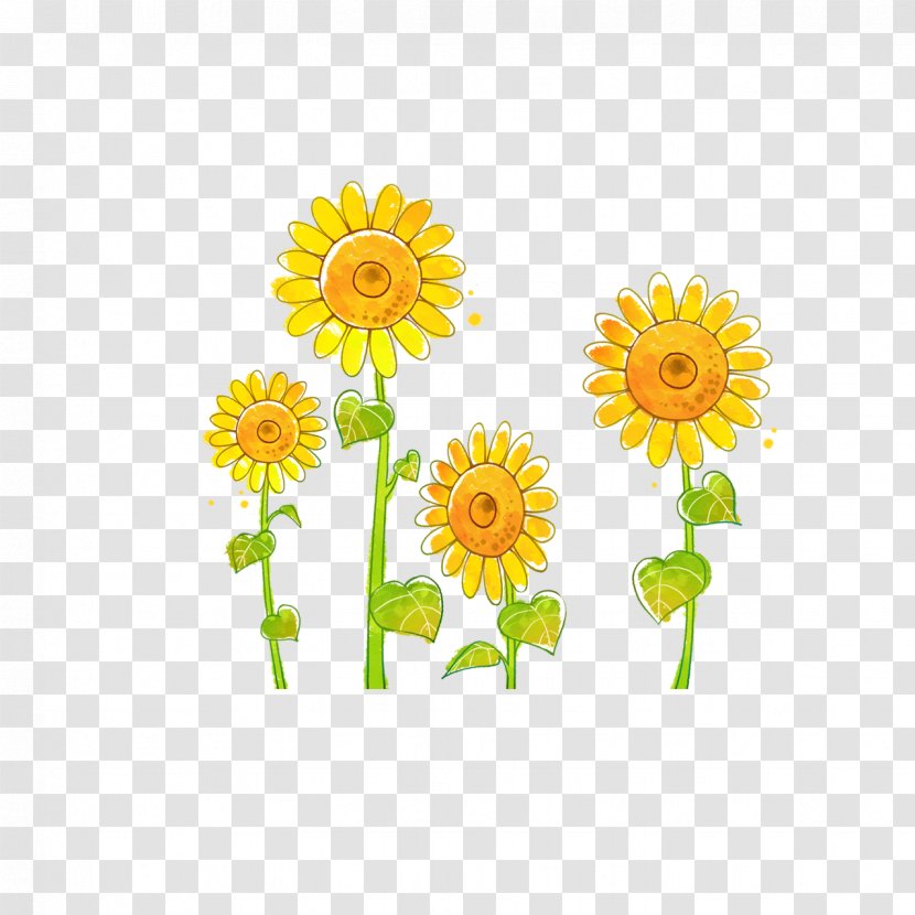 Common Sunflower Doll Drawing Illustration - Daisy Transparent PNG
