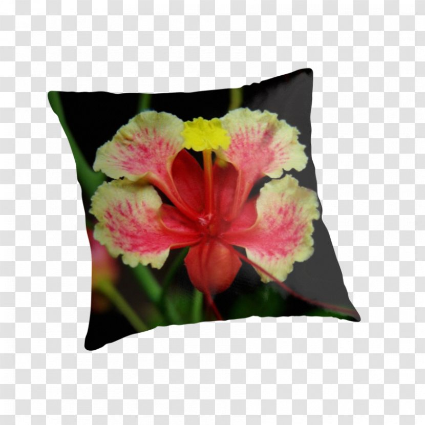 Throw Pillows Mallows Hibiscus Cushion Flower - Cattleya Orchids - Peacock Transparent PNG