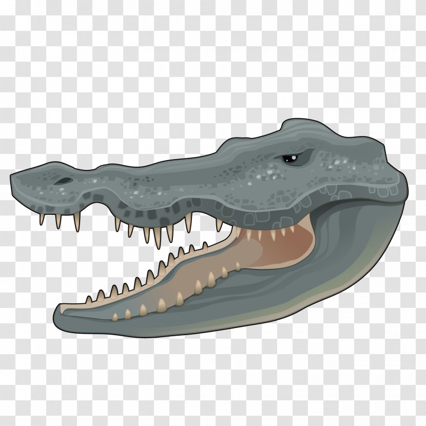 Deer Crocodile Chinese Alligator Animal - Cartoon - Vector Transparent PNG