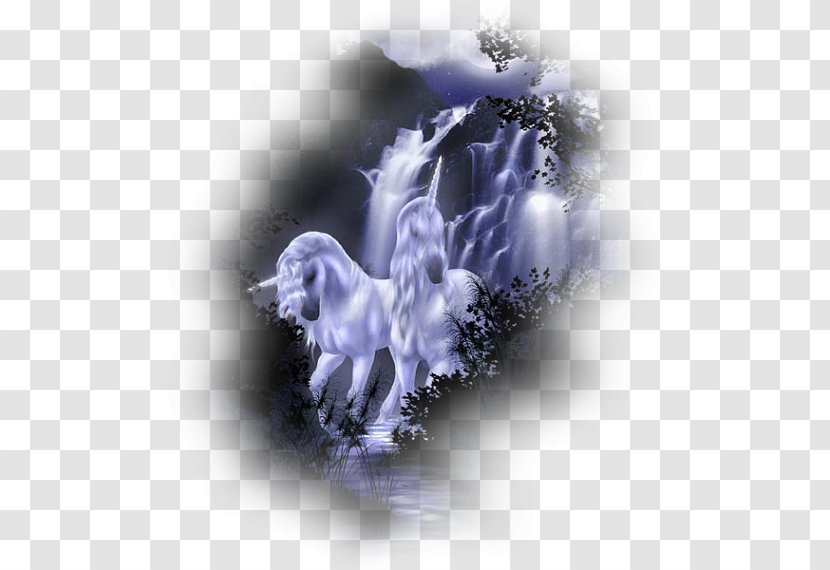 Desktop Wallpaper Unicorn Horse - Organism - Violet Transparent PNG
