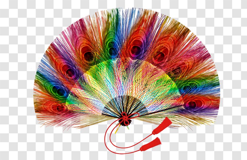 Feather Peafowl - Decorative Fan - Son Transparent PNG