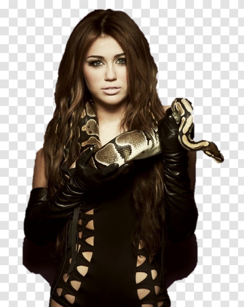 Miley Cyrus Can't Be Tamed Female Celebrity Photography - Flower Transparent PNG