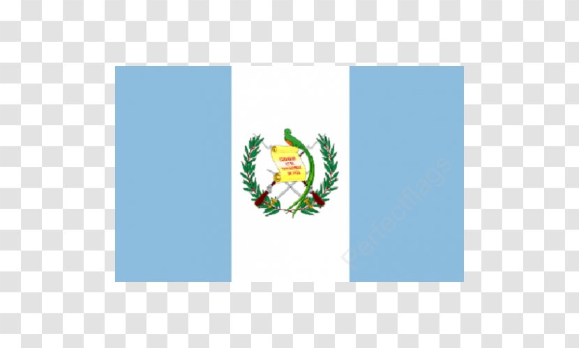 Flag Of Guatemala National T-shirt - Polyester Transparent PNG