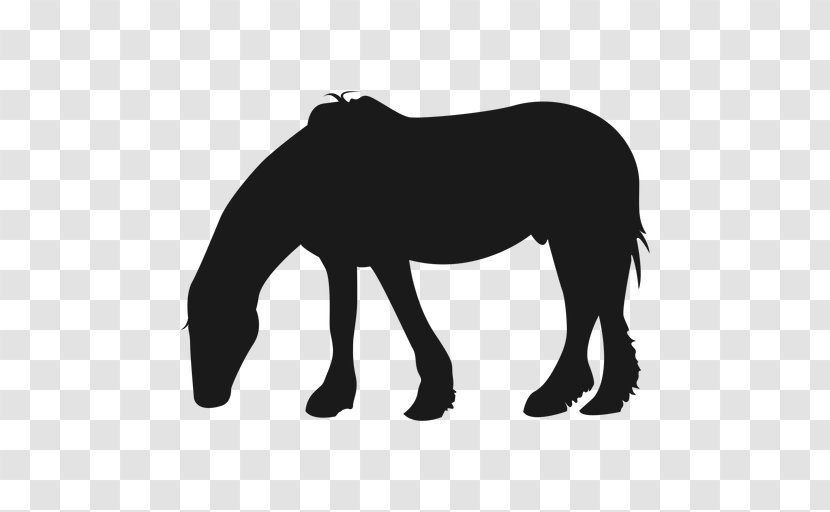 Mustang Pony Stallion Silhouette - Mane Transparent PNG