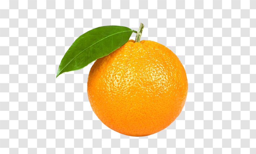 Orange - Florida - Accessory Fruit Persian Lime Transparent PNG