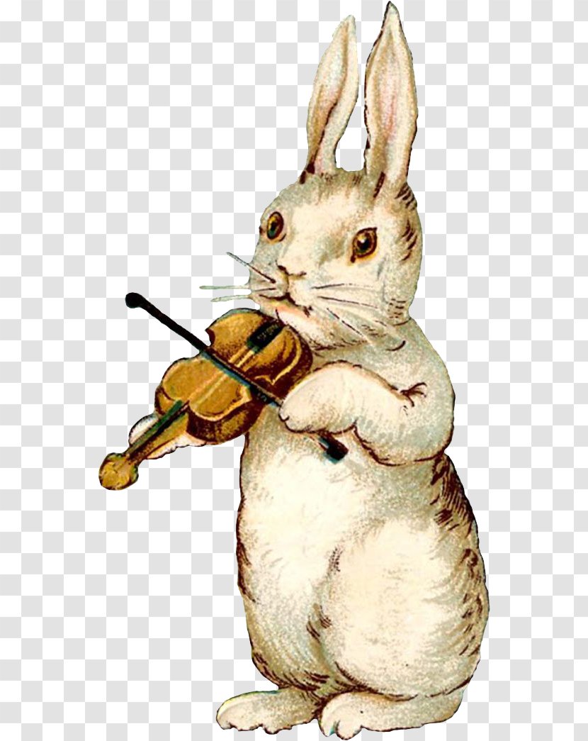 Easter Bunny Rabbit Postcard Illustration - Fictional Character - Violin Transparent PNG