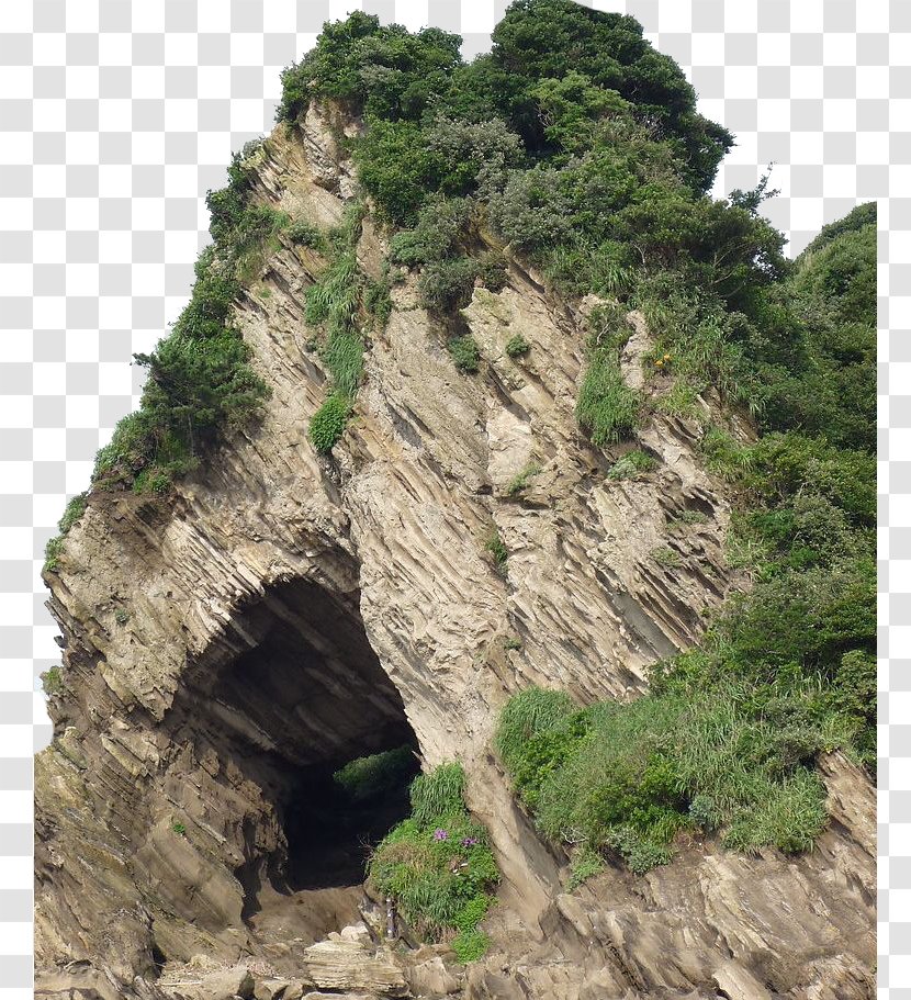 Photography Cave Nature - Tree - Steep Transparent PNG