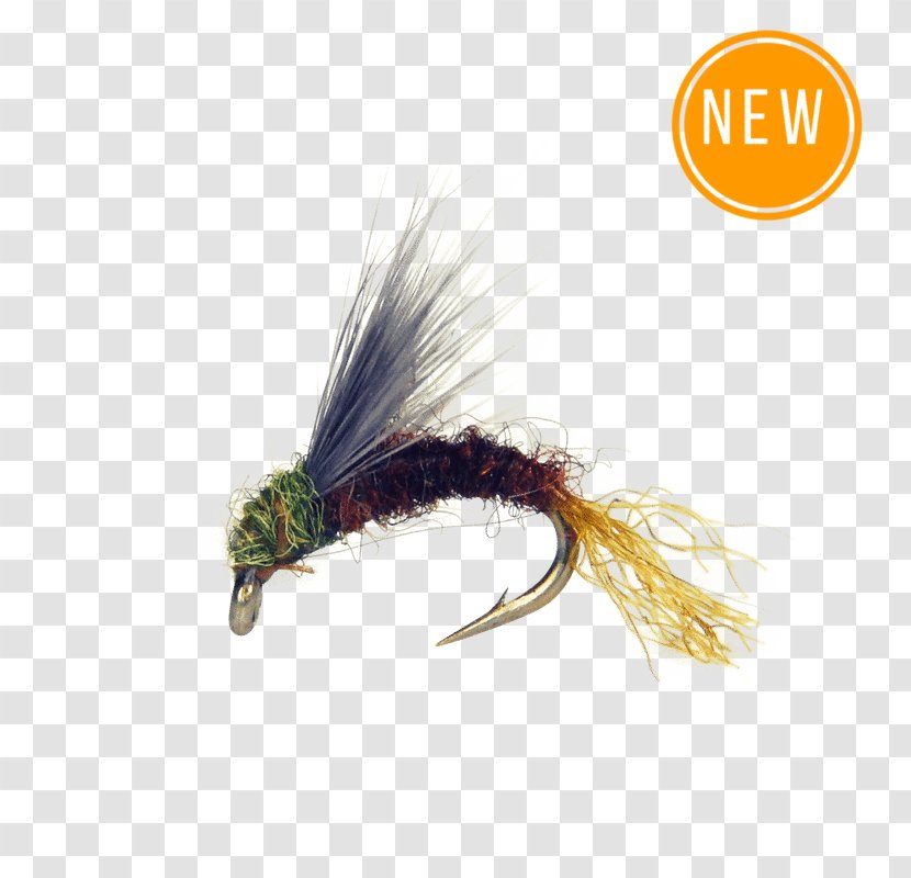 Baetis Fly Fishing Artificial Insect Nymph - Pest Transparent PNG