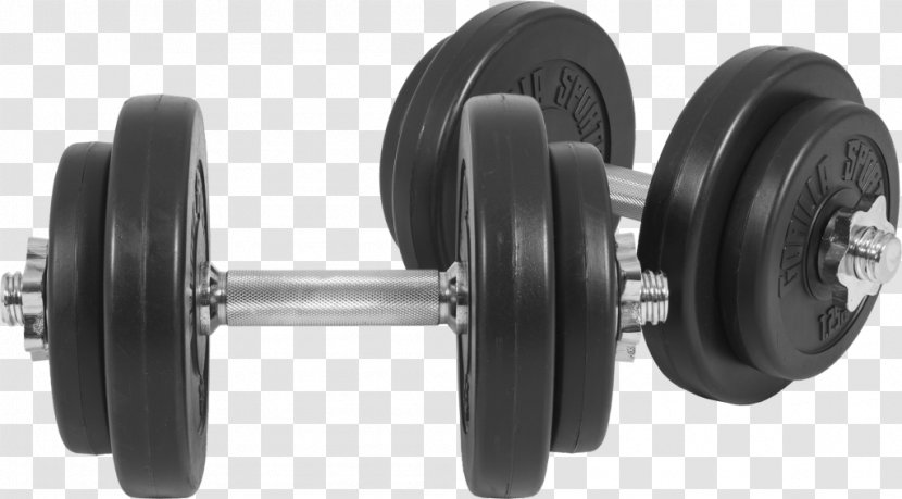 Dumbbell Weight Training Barbell Exercise Equipment Olympic Weightlifting - Hardware - Vinyl Transparent PNG