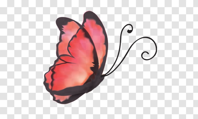 Butterfly Microsoft PowerPoint Template Animation Presentation Transparent PNG