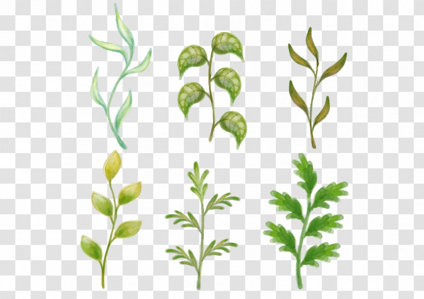Flower Drawing Painting - Green - Hand-painted Flowers Vector Grass Plant Transparent PNG