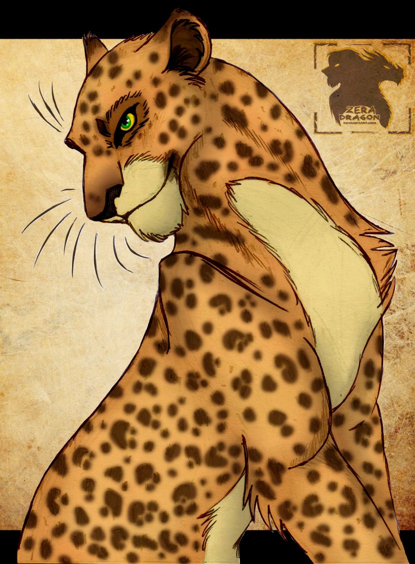 Loki Lion Cheetah Leopard Cat - Whiskers - Leopards Transparent PNG