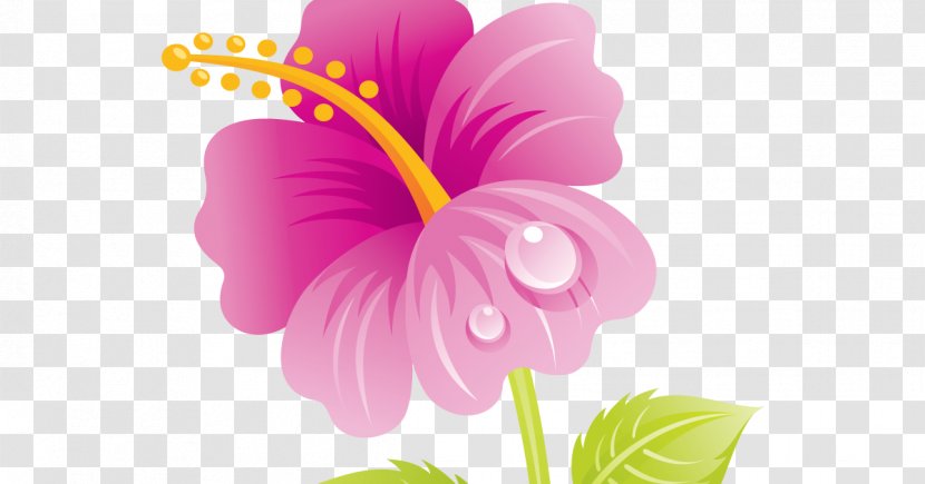 Mother's Day Flower Bouquet Granny Clip Art - Hibiscus Transparent PNG