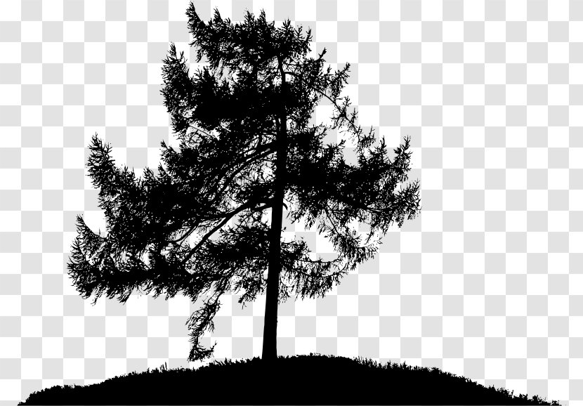 The Lonely Tree Oak Clip Art - Black And White - Love Transparent PNG