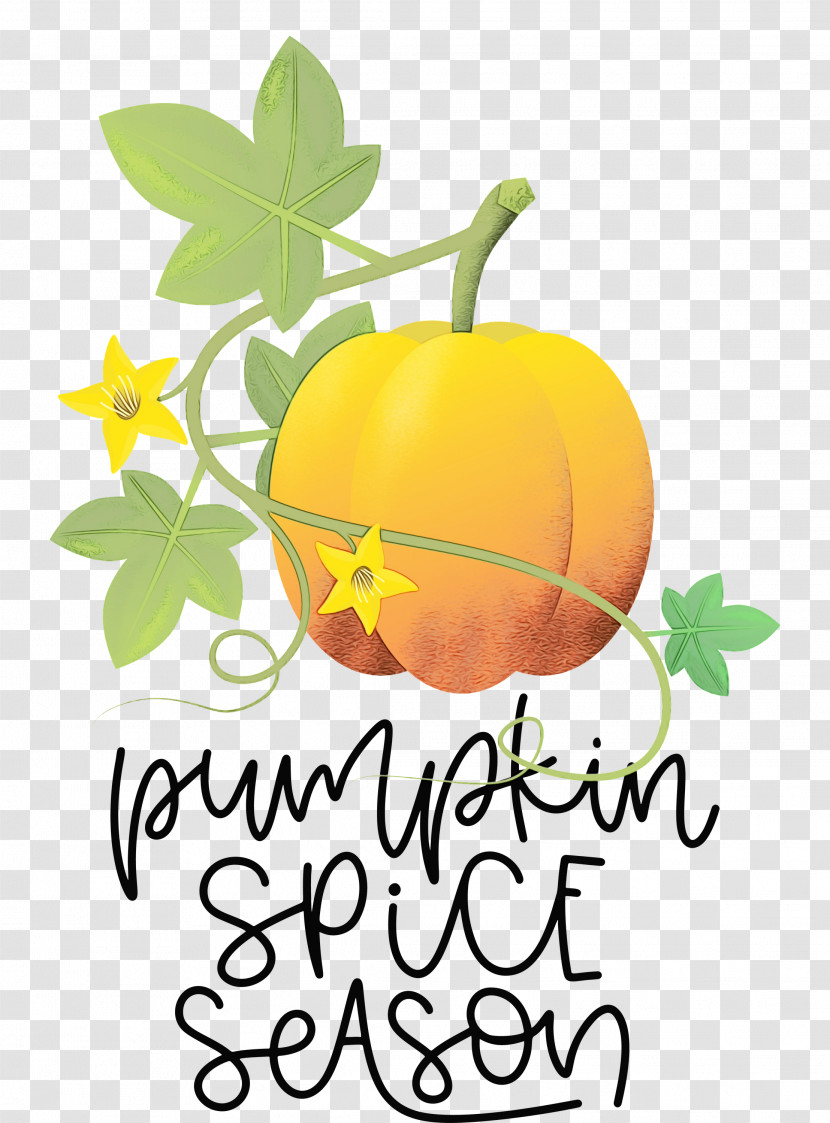 Pumpkin Transparent PNG