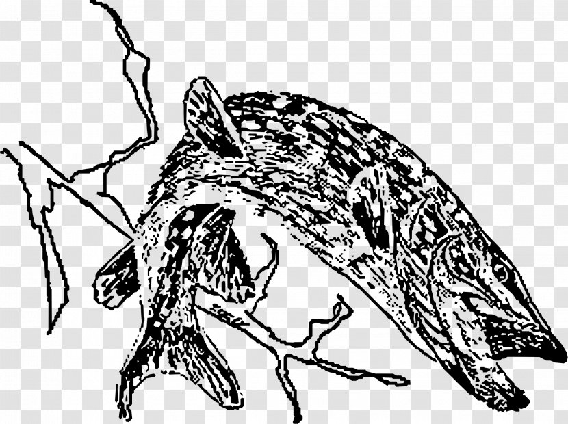 Northern Pike Black And White Drawing Clip Art - Tree Transparent PNG