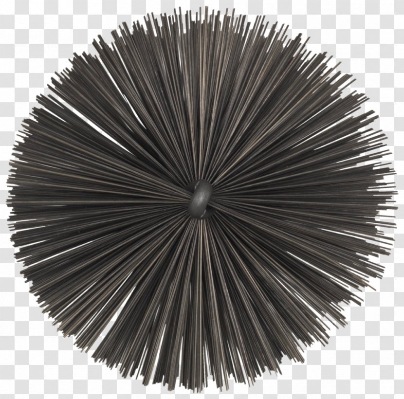 Brush Scrubber Cleaning Mop Sebo Felix - Grand Divisions Of Tennessee Transparent PNG