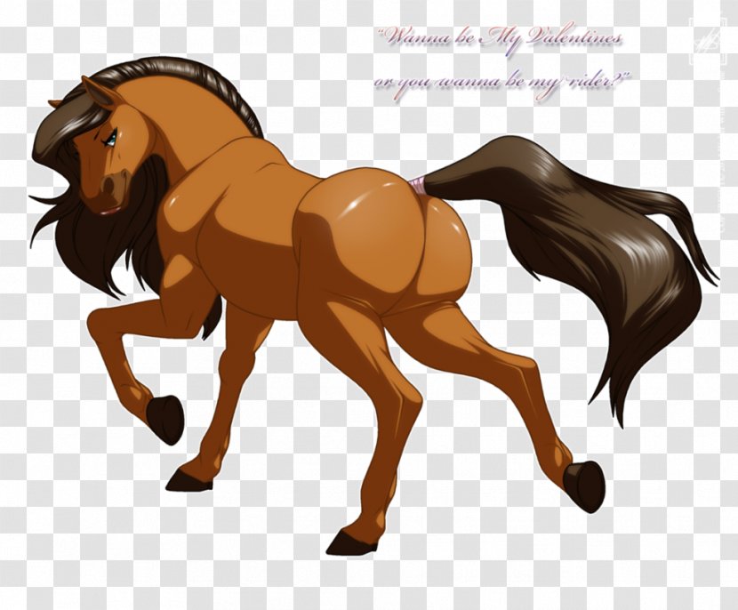 Horse Foal Valentine's Day Mare Stallion - Colt - Beautifully Clipart Transparent PNG