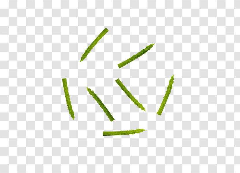 Green Text Leaf Plant Grass Family - Logo Transparent PNG