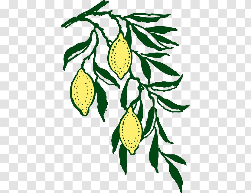 Lemon Clip Art - Blog - Yellow Melon Juice Transparent PNG