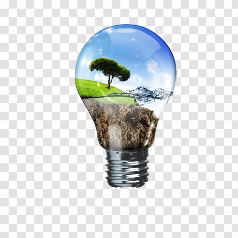 Renewable Energy Non-renewable Resource Conservation - Electricity - Bulb Transparent PNG