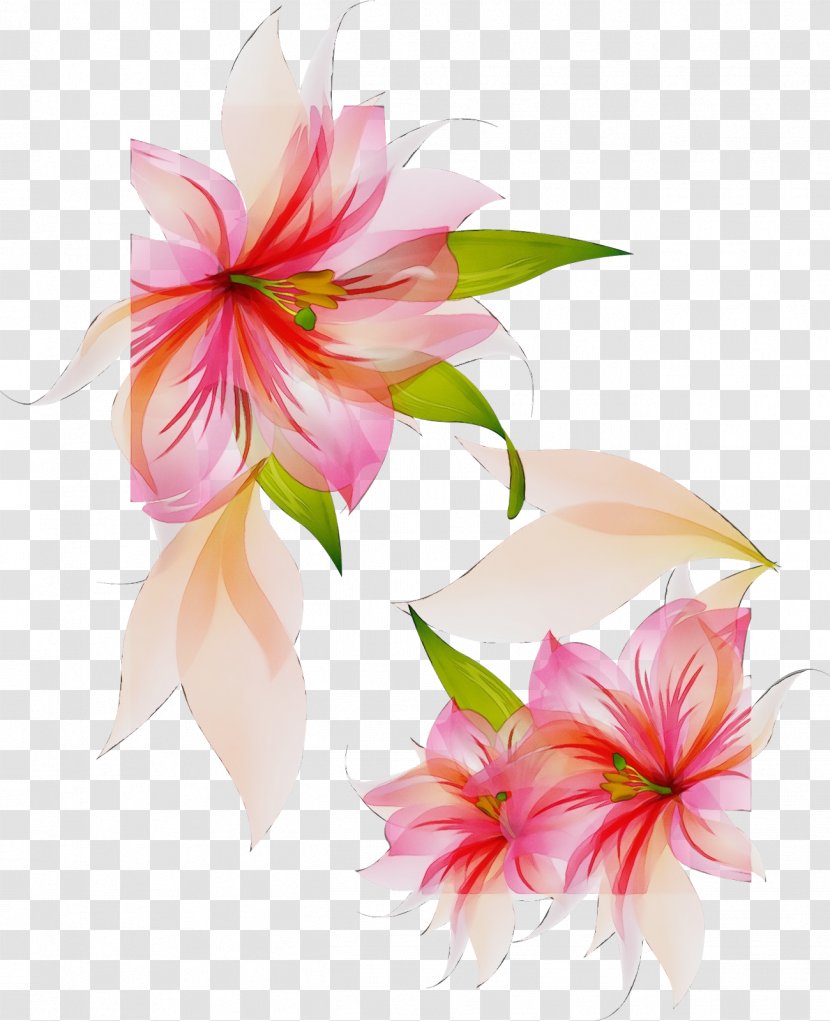 Floral Design Cut Flowers Flower Bouquet Jersey Lily Transparent PNG