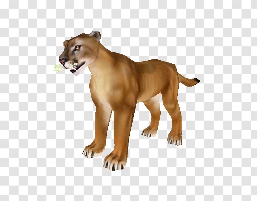 Cougar Big Cat Terrestrial Animal Transparent PNG