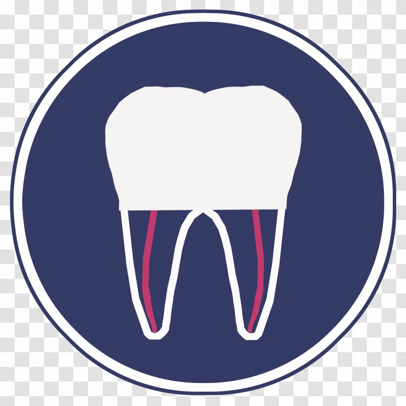 Tooth Root Canal Crown Pulp Endodontic Therapy - Heart Transparent PNG