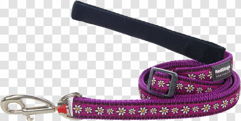 Leash Dingo Dog Collar - Fashion Accessory - Daisy Chain Transparent PNG