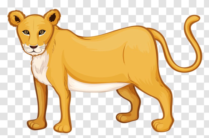 Lion Drawing Clip Art - Big Cats Transparent PNG