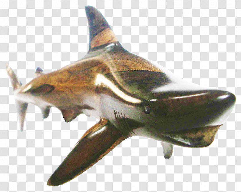 Ground Sharks Blacktip Shark Belize Crafts Guatemala Transparent PNG