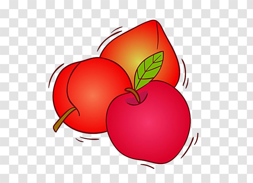 Tomato Fruit Royalty-free Illustration - Valentines Day - Peach Transparent PNG