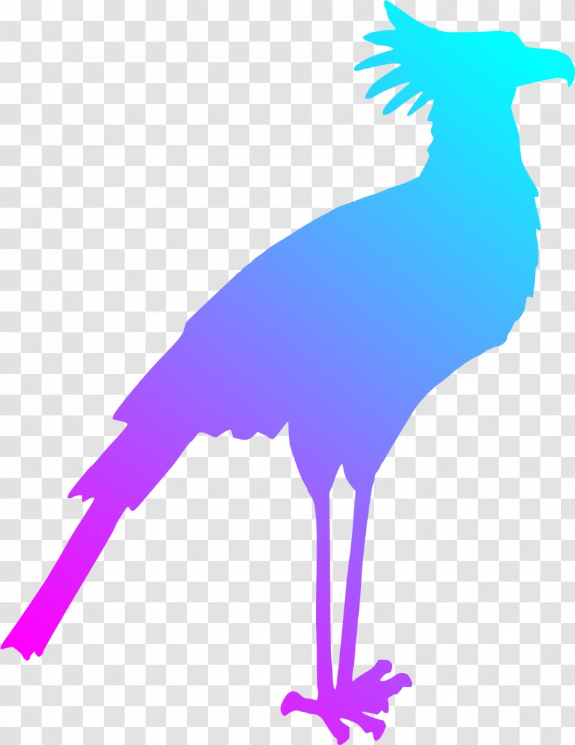 Secretarybird Silhouette Clip Art - Digital Image - Bird Transparent PNG