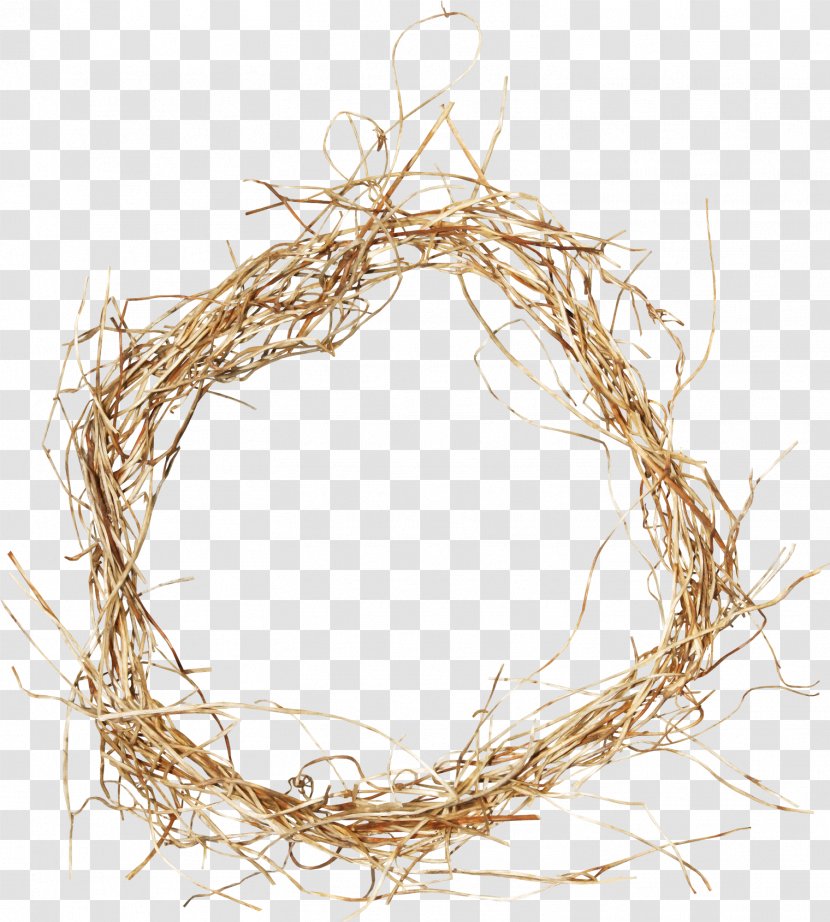 Marcos Map - Bird Nest - Rattan Transparent PNG