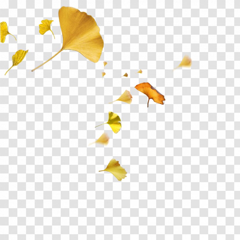 Yellow Autumn Leaf - Petal - Ginkgo Leaves Transparent PNG