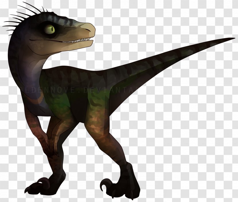 Velociraptor Jurassic Park: Operation Genesis Tyrannosaurus Dinosaur - Watercolor - Park Transparent PNG