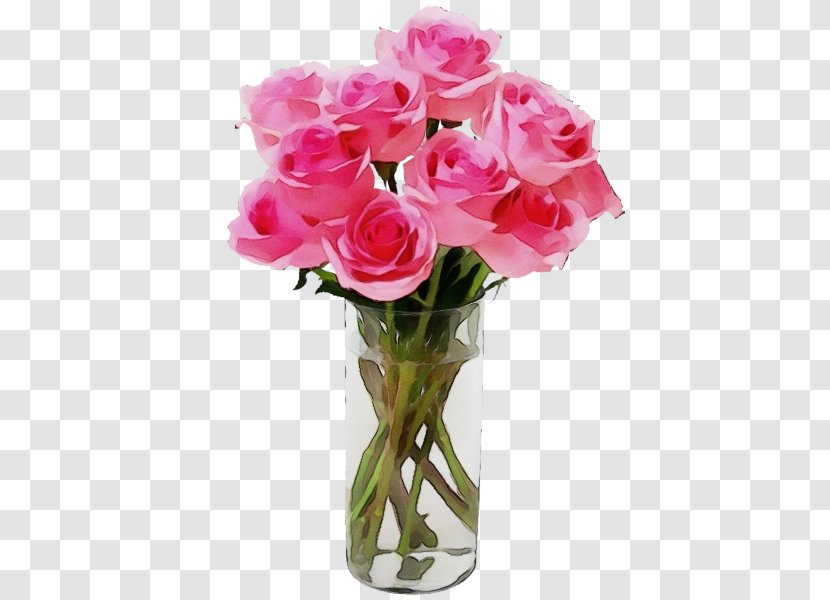 Garden Roses - Pink - Rose Family Petal Transparent PNG